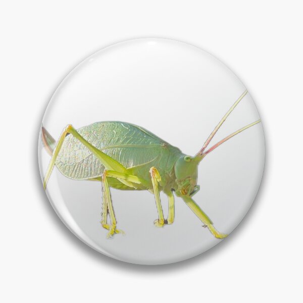Item preview, Katydid designed and sold by LoveGraceValor.