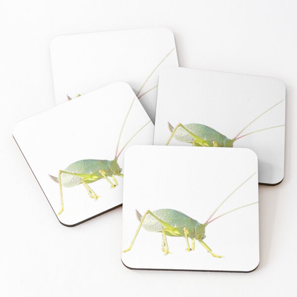 Item preview, Katydid designed and sold by LoveGraceValor.