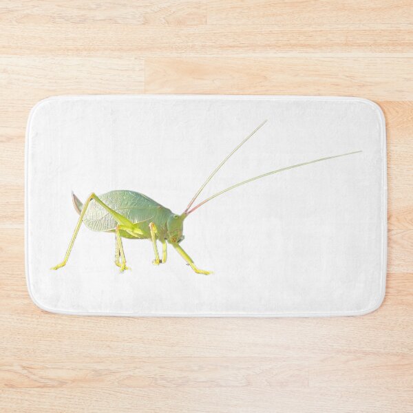 Item preview, Katydid designed and sold by LoveGraceValor.