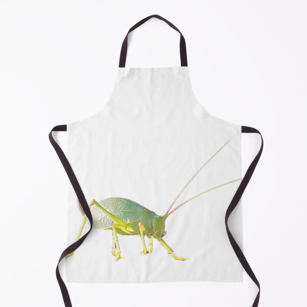 Item preview, Katydid designed and sold by LoveGraceValor.