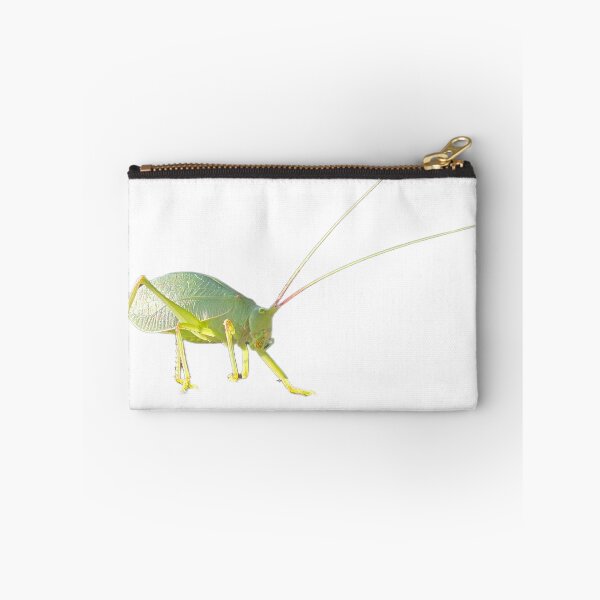Item preview, Katydid designed and sold by LoveGraceValor.