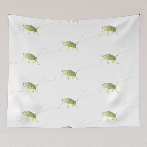Item preview, Katydid designed and sold by LoveGraceValor.