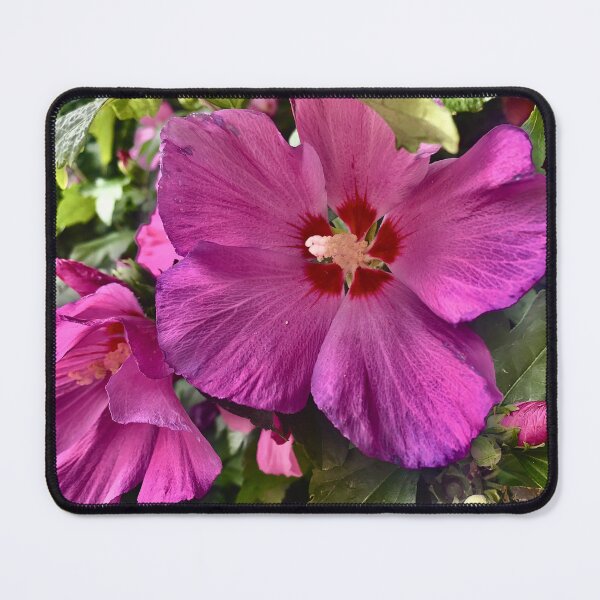 Item preview, Vibrant Hibiscus Bloom in Summer Light designed and sold by BariMou.