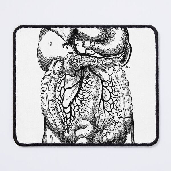 Item preview, Vintage Anatomical Leg Bones Illustration – Medical Engraving Art designed and sold by NorthernMan10.