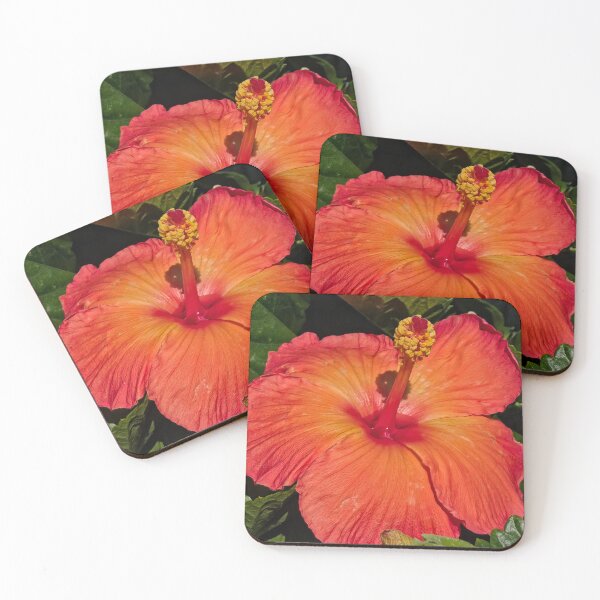 Item preview, Calor tropical designed and sold by Betsy Phillips.