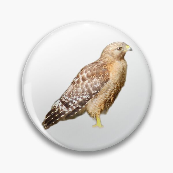 Item preview, Red shoulder hawk designed and sold by LoveGraceValor.