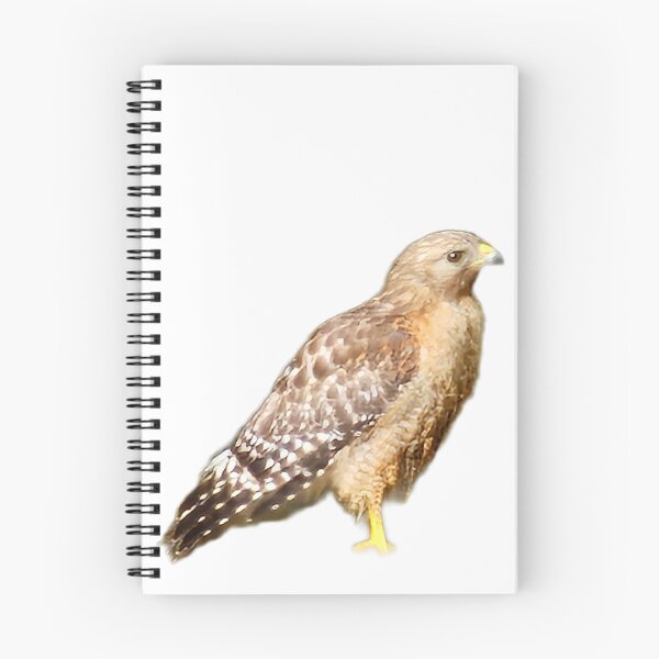 Item preview, Red shoulder hawk designed and sold by LoveGraceValor.