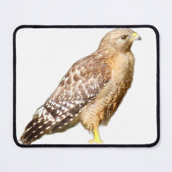 Item preview, Red shoulder hawk designed and sold by LoveGraceValor.