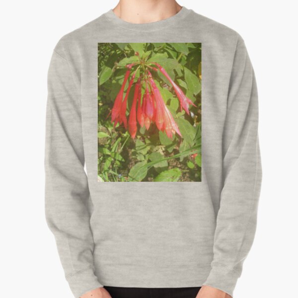 Fuchsia Koralle 2 Pullover Sweatshirt