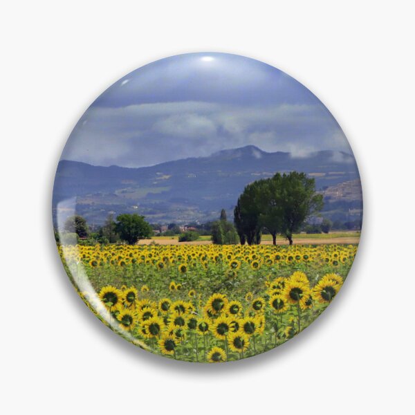 Item preview, Sunflowers in Umbria designed and sold by annalisa56.