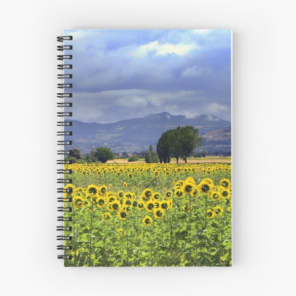 Item preview, Sunflowers in Umbria designed and sold by annalisa56.