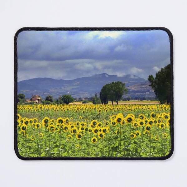 Item preview, Sunflowers in Umbria designed and sold by annalisa56.