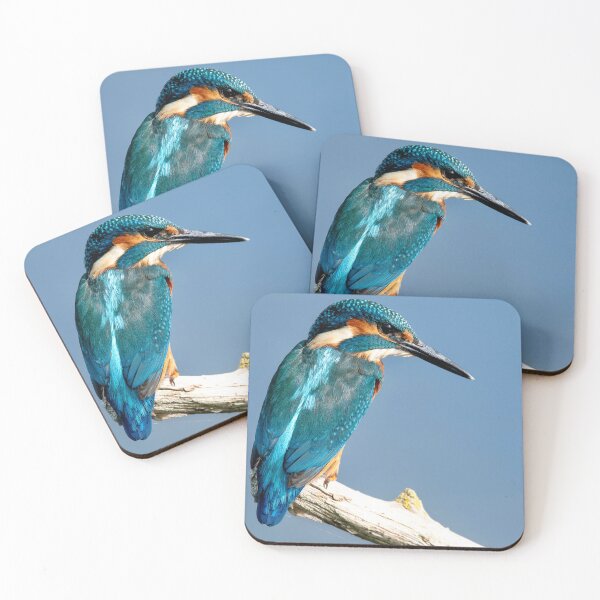 Item preview, Colourful kingfisher perched on branch  designed and sold by cdkphotos.