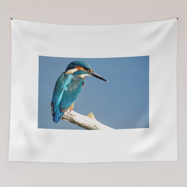 Item preview, Colourful kingfisher perched on branch  designed and sold by cdkphotos.