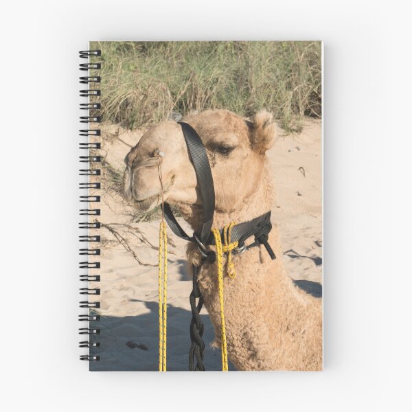 Item preview, Camel, Cable Beach, Western Australia designed and sold by Dreamscape Eclectic .