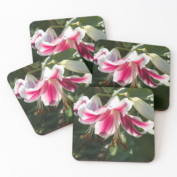 Item preview, Sunlit Pink and White Lily Closeup designed and sold by Georgia Mizuleva.