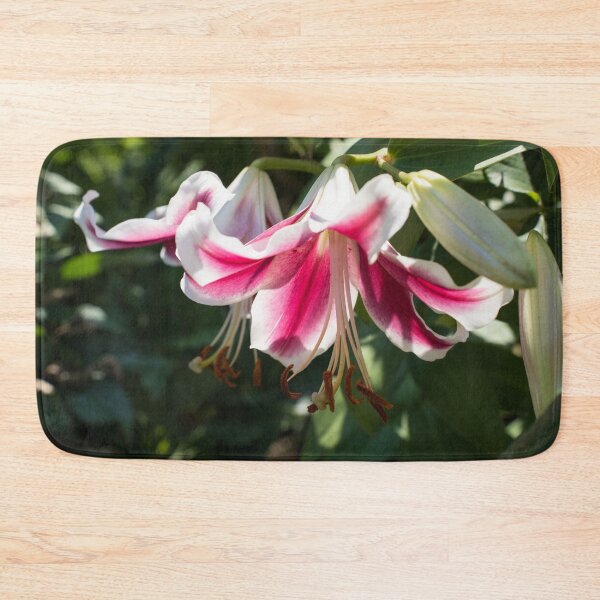 Item preview, Sunlit Pink and White Lily Closeup designed and sold by Georgia Mizuleva.