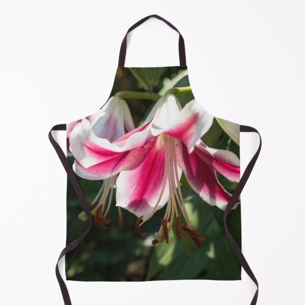 Item preview, Sunlit Pink and White Lily Closeup designed and sold by Georgia Mizuleva.