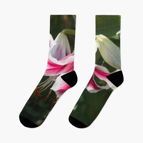 Item preview, Sunlit Pink and White Lily Closeup designed and sold by Georgia Mizuleva.