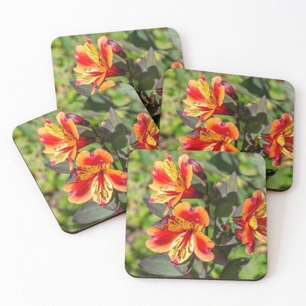 Item preview, Peruvian Lily Trio designed and sold by e-MB-Photos.