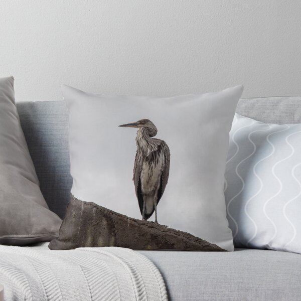 Item preview, Stoic Heron designed and sold by e-MB-Photos.