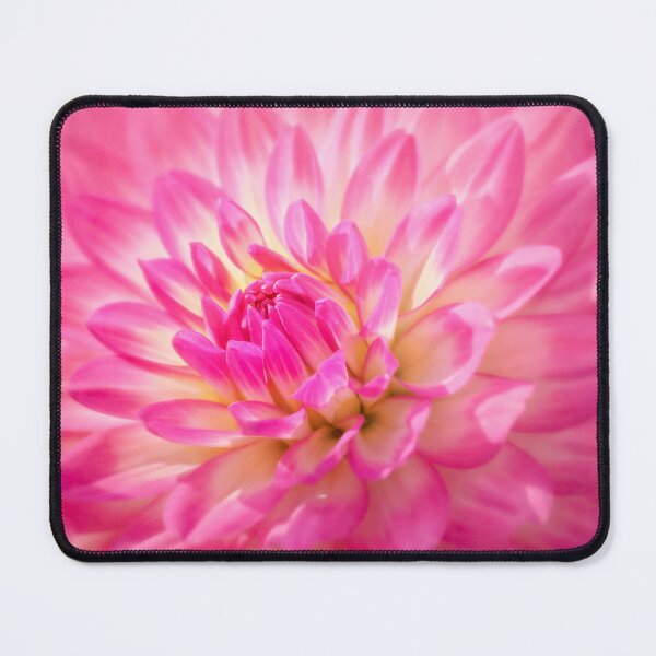 Item preview, Pink Dahlia designed and sold by Mihaela Limberea.