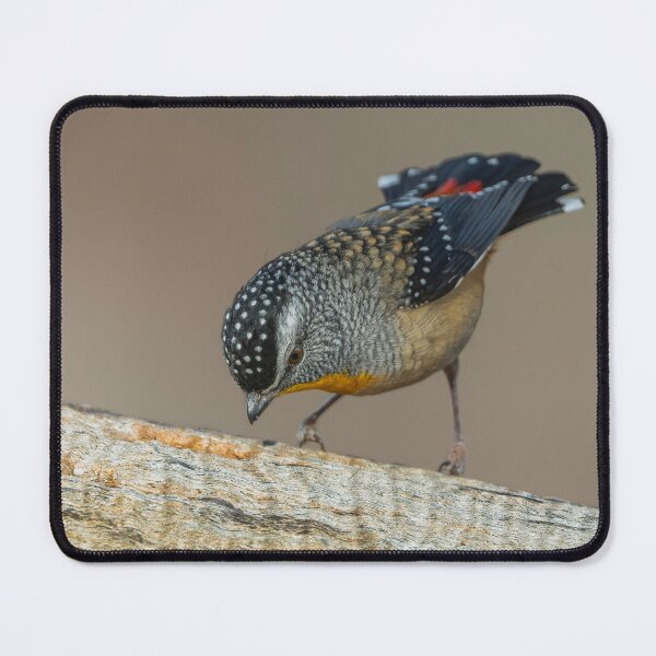 Item preview, Male Spotted Pardalote designed and sold by Nick Vertsonis.