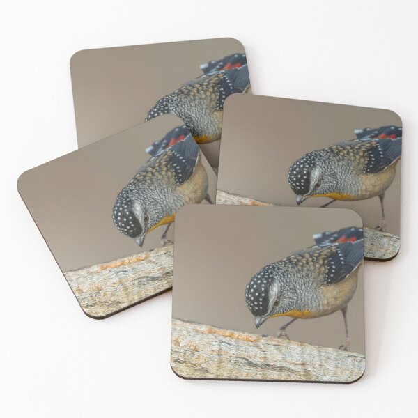Item preview, Male Spotted Pardalote designed and sold by Nick Vertsonis.