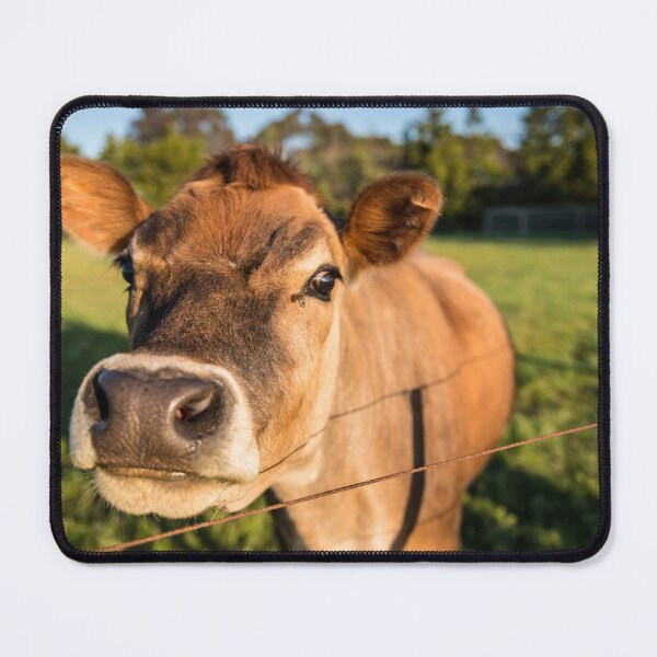 Item preview, Red Heifer Cow designed and sold by Dreamscape Eclectic .