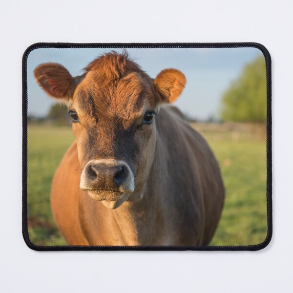 Item preview,  Red Heifer Cow designed and sold by Dreamscape Eclectic .