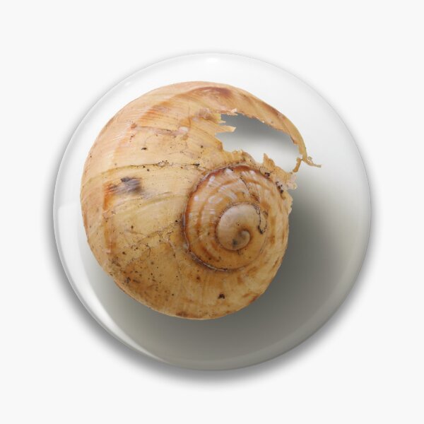 Item preview, The Shell designed and sold by Siene Browne.