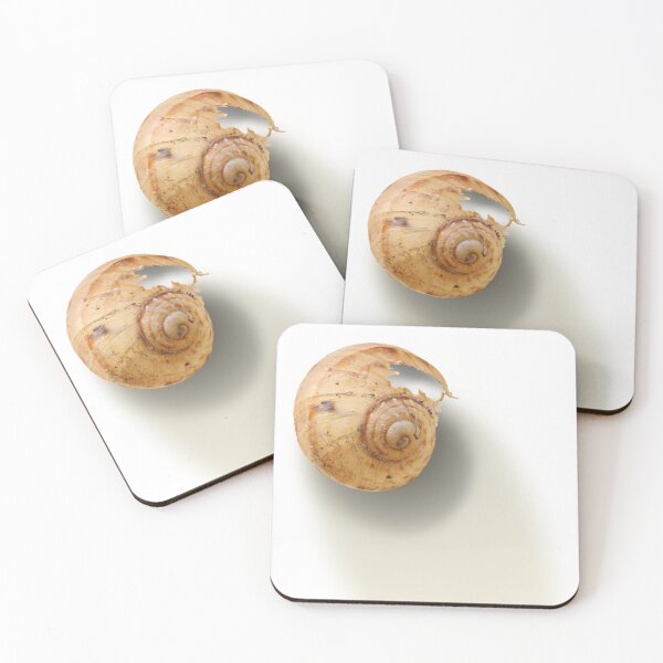 Item preview, The Shell designed and sold by Siene Browne.