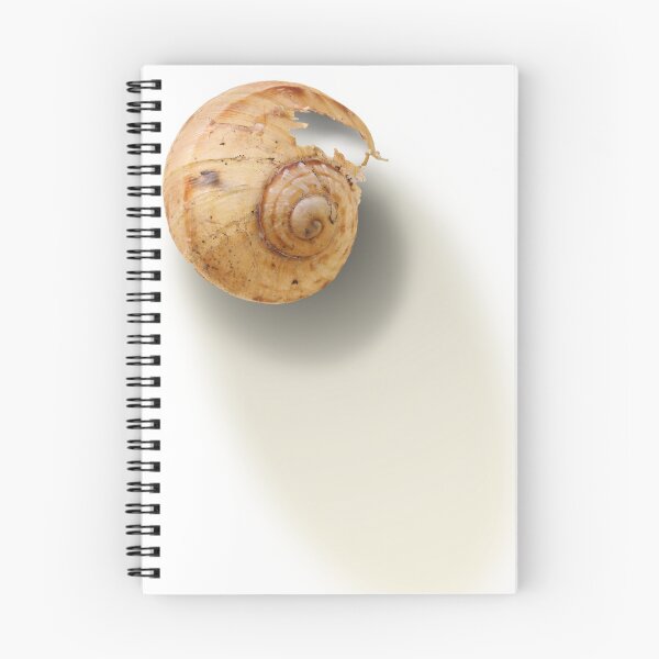 Item preview, The Shell designed and sold by Siene Browne.