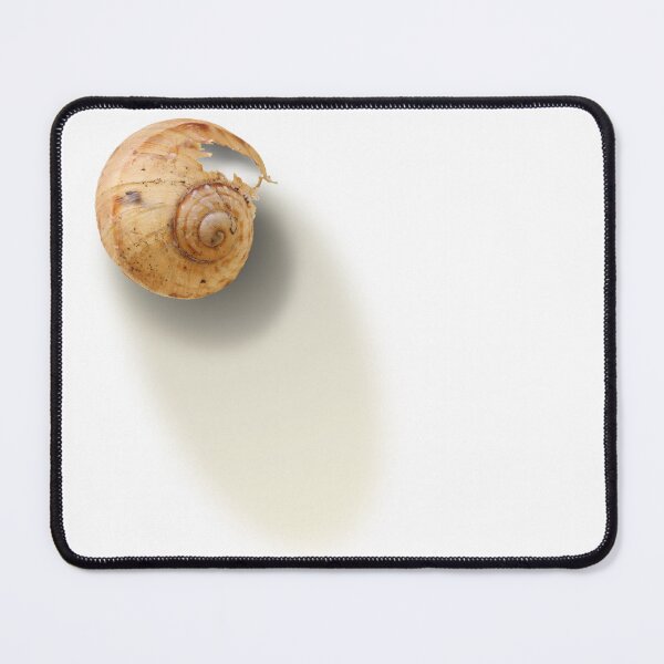 Item preview, The Shell designed and sold by Siene Browne.