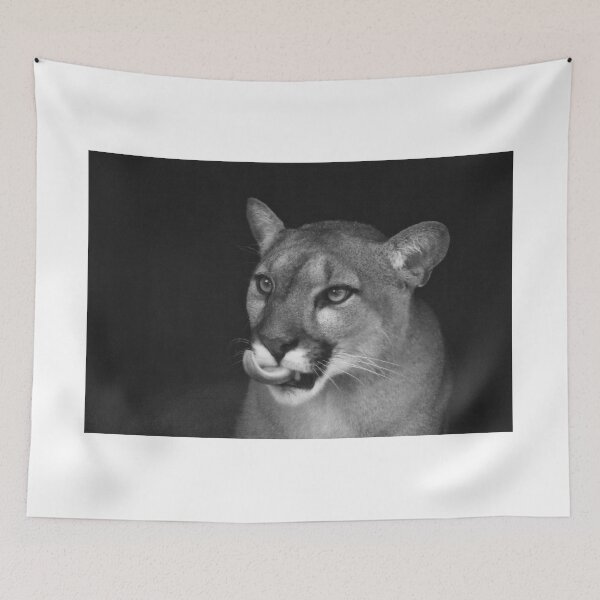 Item preview, Florida Panther Portrait Black And White  designed and sold by MercerImages.
