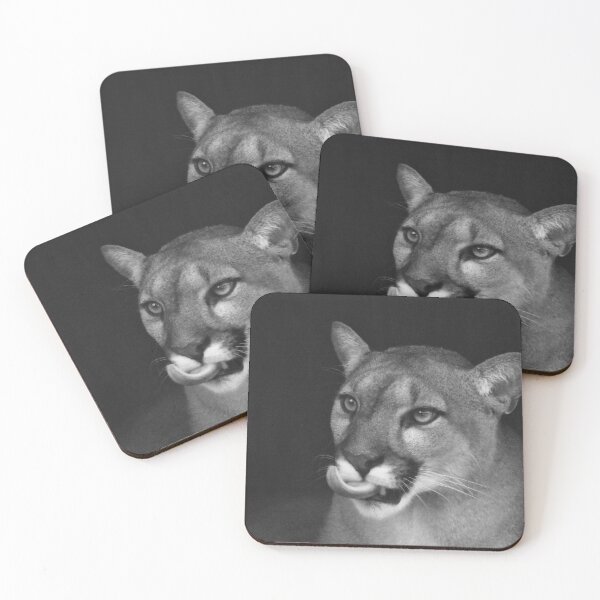 Item preview, Florida Panther Portrait Black And White  designed and sold by MercerImages.