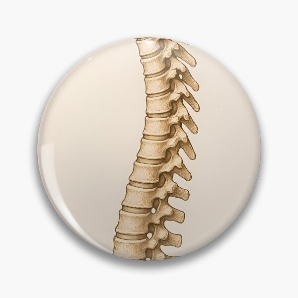 Item preview, backbone designed and sold by Jasardpu.
