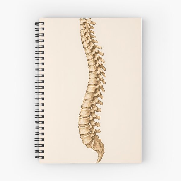 Item preview, backbone designed and sold by Jasardpu.