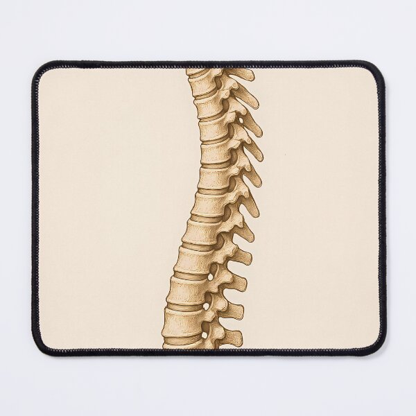 Item preview, backbone designed and sold by Jasardpu.