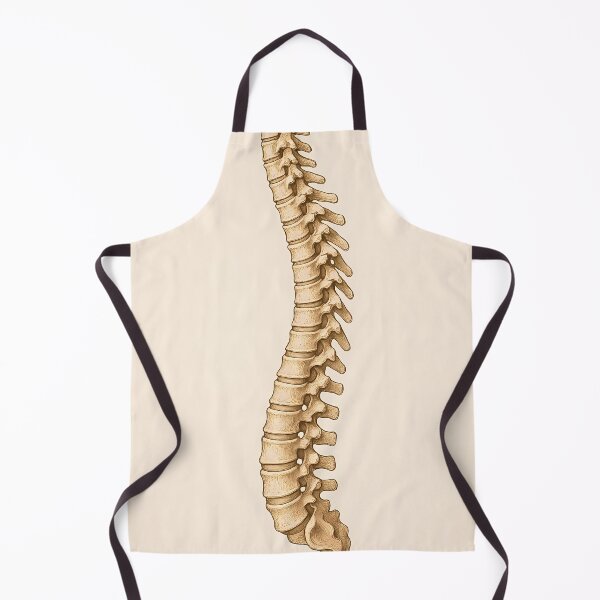 Item preview, backbone designed and sold by Jasardpu.