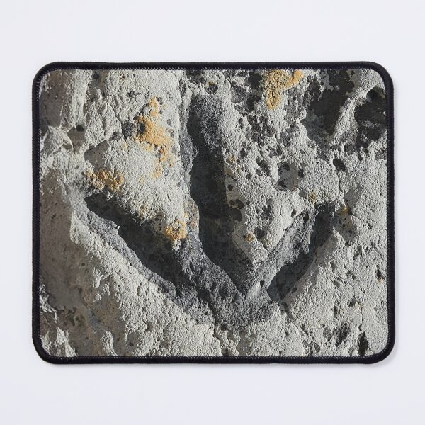 Item preview, Dinosaur Footprint Circle designed and sold by The-RoseStudios.