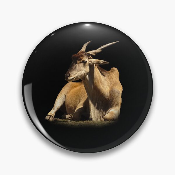 Artikelvorschau, Eland-Antilope entworfen und verkauft von Guardi71.