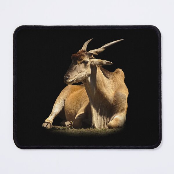 Artikelvorschau, Eland-Antilope entworfen und verkauft von Guardi71.
