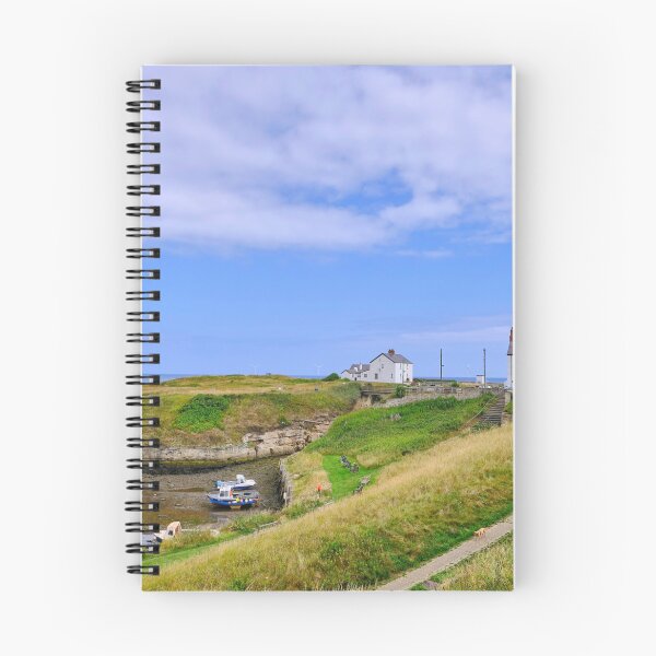 Item preview, Seaton Sluice Harbour in Northumberland designed and sold by Violaman.