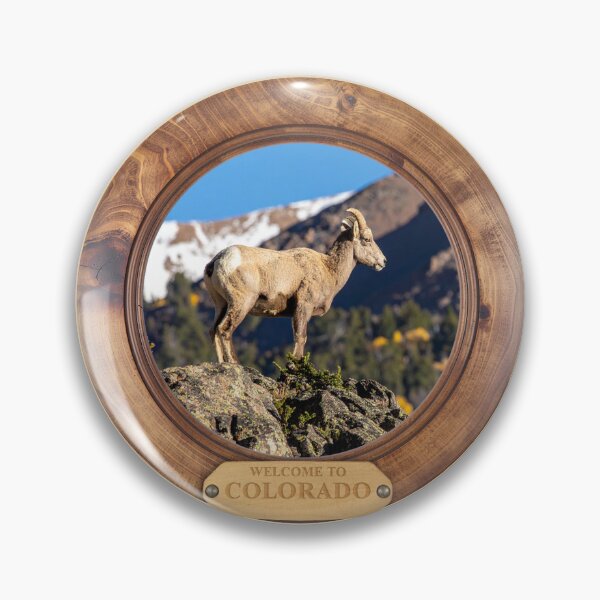 Item preview, Welcome to Colorado - Bighorn Sheep designed and sold by The-RoseStudios.