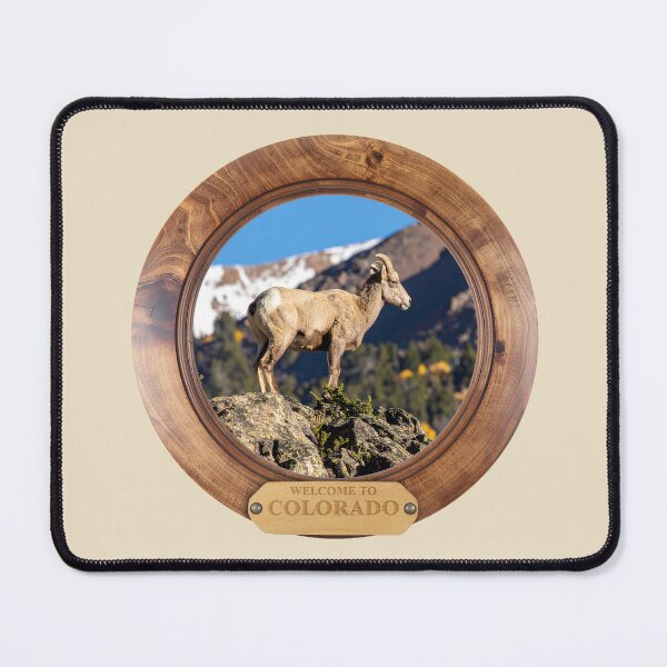 Item preview, Welcome to Colorado - Bighorn Sheep designed and sold by The-RoseStudios.