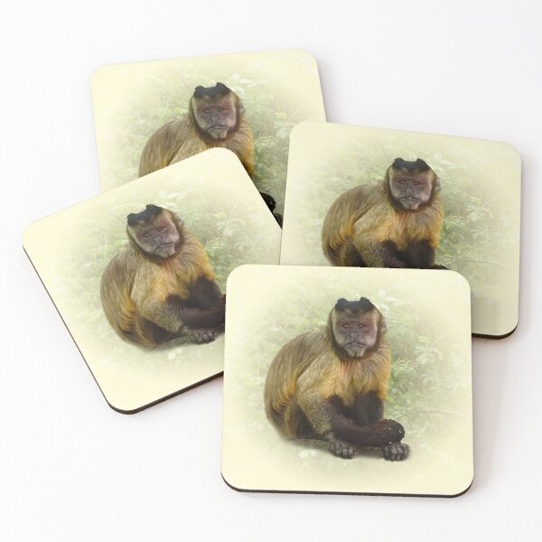 Item preview, Tufted Capuchin designed and sold by Guardi71.