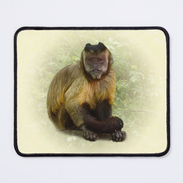 Item preview, Tufted Capuchin designed and sold by Guardi71.