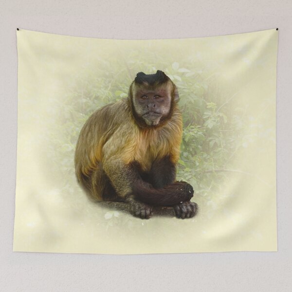 Item preview, Tufted Capuchin designed and sold by Guardi71.