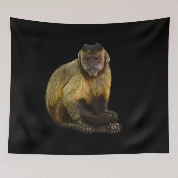 Item preview, Tufted Capuchin designed and sold by Guardi71.